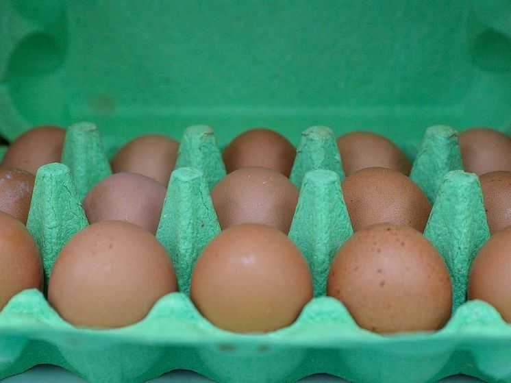 Россиянам рассказали о снижении цен на важный продукт