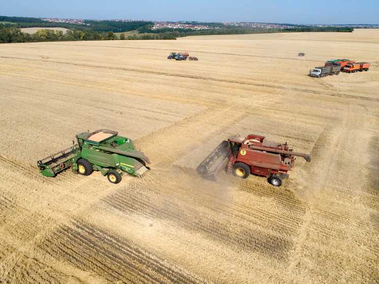 Продажи продовольствия за рубеж выросли почти в три раза: кто покупает