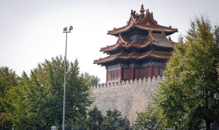 Турпоток между РФ и КНР по групповому безвизу составил 580 тыс. человек за год