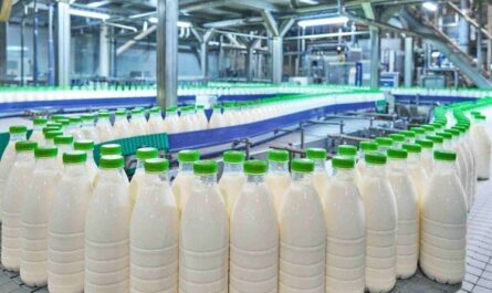 Российский молочный холдинг перешел на упаковку из переработанного пластика