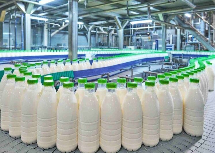 Российский молочный холдинг перешел на упаковку из переработанного пластика