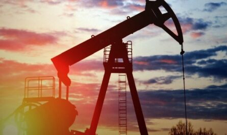 «Доход для всех»: президент нефтедобывающей страны планирует поделиться с гражданами богатствами