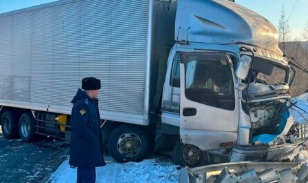 В Амурской области при столкновении автомобиля с грузовиком погибли два человека