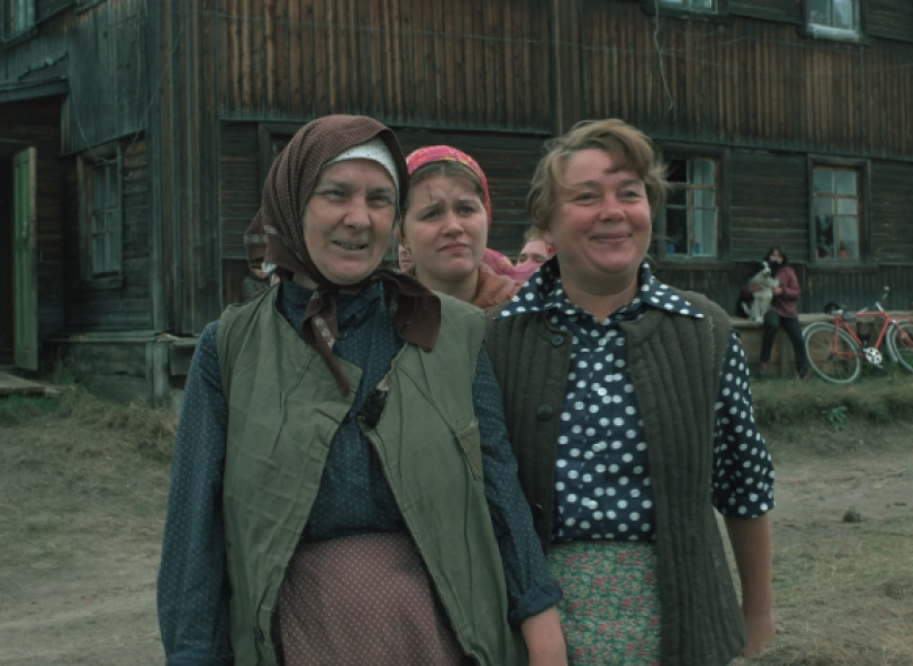 Советской комедии "Любовь и голуби" – 41 год: как картина стала культовой для многих поколений