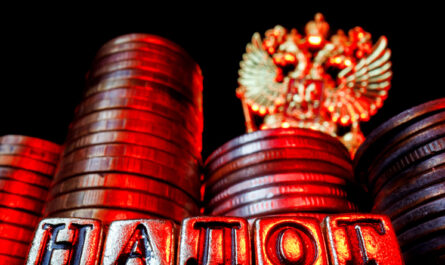 Экономист объяснил, из-за чего у самозанятого могут возникнуть проблемы с ФНС