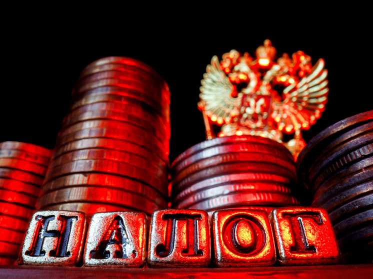 Экономист объяснил, из-за чего у самозанятого могут возникнуть проблемы с ФНС