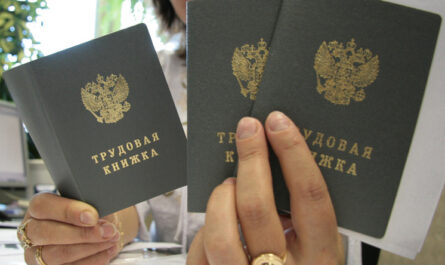 Низкие зарплаты, необходимость переподготовки: экономист обозначил главные уязвимости рынка труда РФ