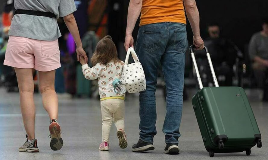 Лето 2026 в России: спрос на туры упал на 4,8%