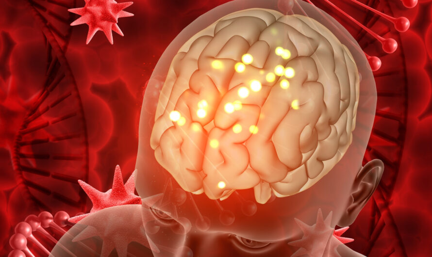 🧠 Мозг — не крепость: клетки костного мозга проникают в него и становятся защитниками